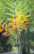 Eye-catching fall colors appeal to young and old alike