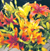 Capture the warmth of fall with rich, bright colors