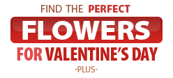 Find the Perfect Flowers for Valentine's Day