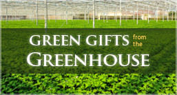 Green Gifts from the Greenhouse
