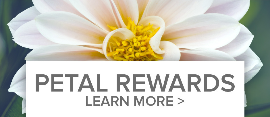 Earn Reward Points