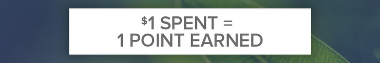 1 dollar spent = 1point earned