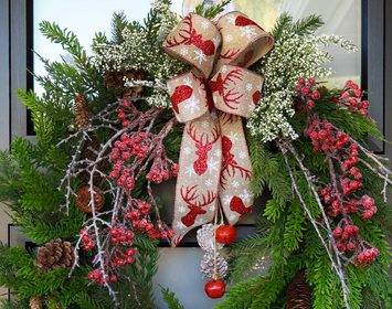 Montana Evergreen Collection