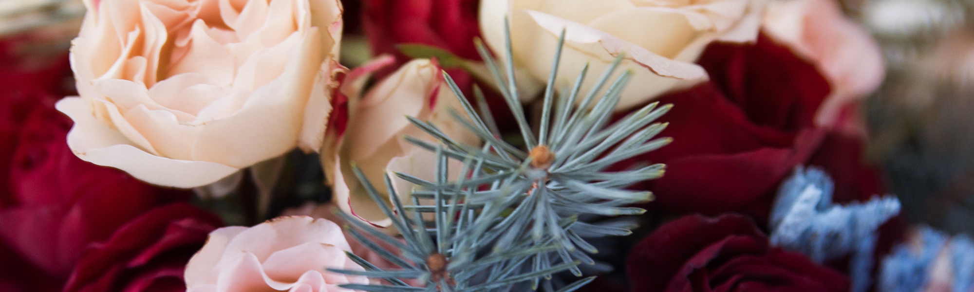 Flowers Billings Montana Sameday Flower Delivery Billings MT by Gainan's Flowers