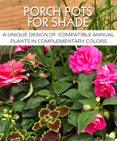 Porch Pot for Shade