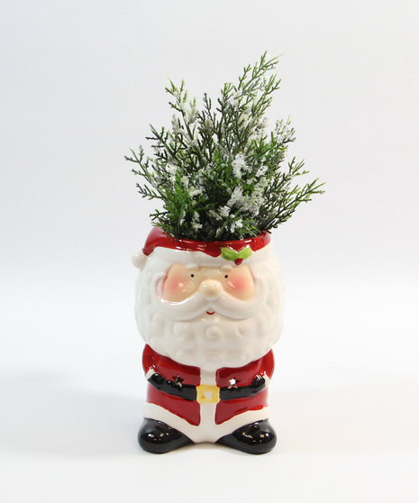 Light Up Santa with Evergreens