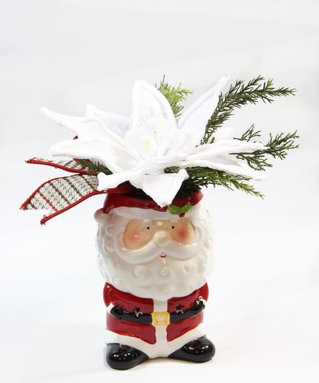 Light Up Santa with White Poinsettia
