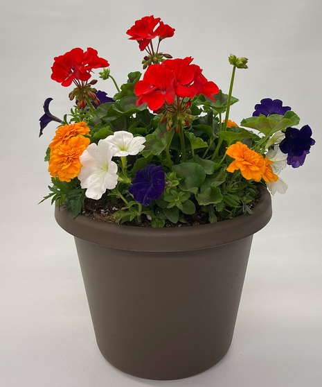 Memorial Day Planter