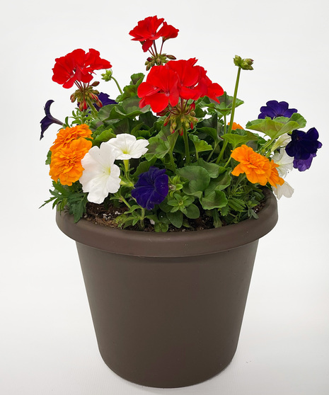 Memorial Day Planter