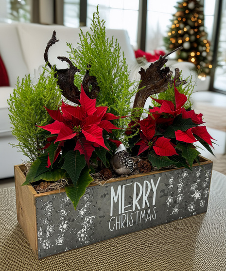 Merry Christmas Garden - a charming woodland garden that captures the spirit of the season