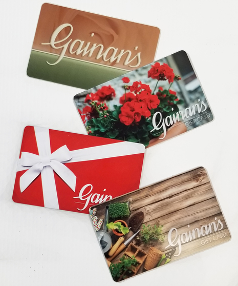 Gainan's Gift Card