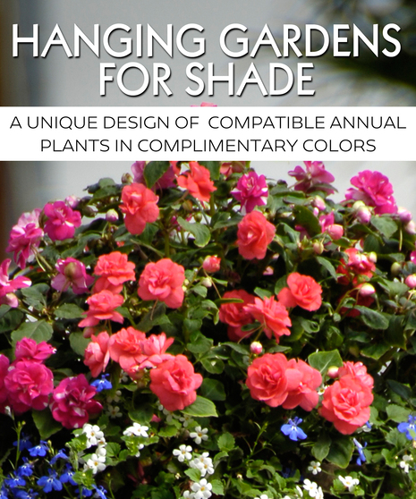 Hanging Basket for Shade