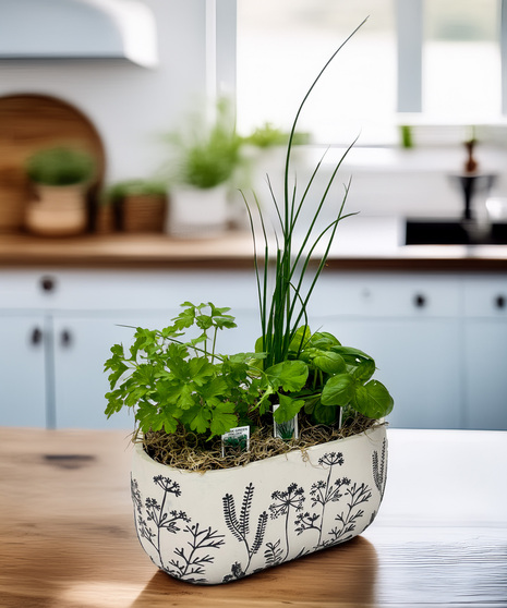 Culinary Herb Garden - fresh from the heart