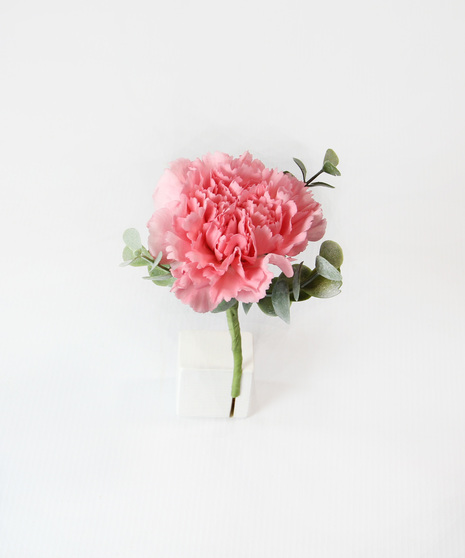 Carnation Boutonniere