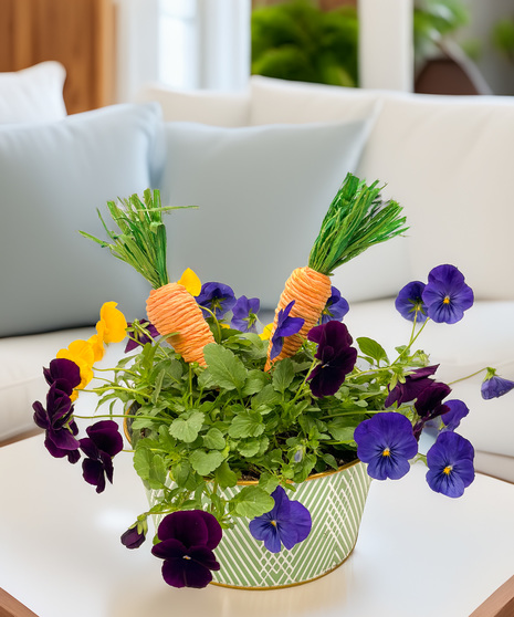 Easter Pansy Garden - color for the season