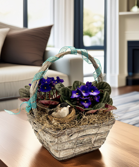 Easter Violet Garden