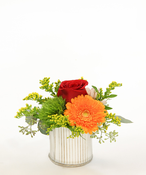 A petite bouquet featuring a mini gerbera daisies, moss carnation, daisies and accents in a ceramic pot that brings a playful pop of color to any space.