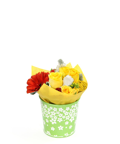 Flower Power