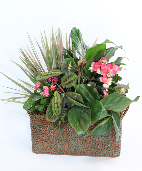 This garden of complementary foliage and two blooming plants is artfully arranged in a decorative container.