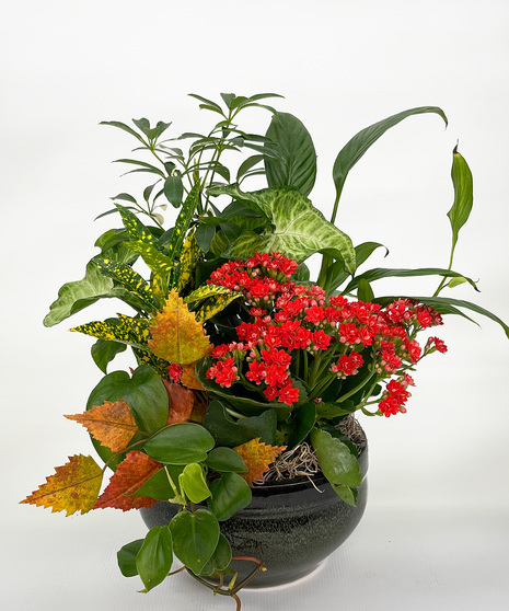 Welcome Fall Garden