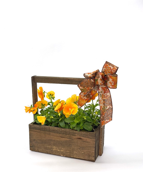 Fall Outdoor Pansy Basket