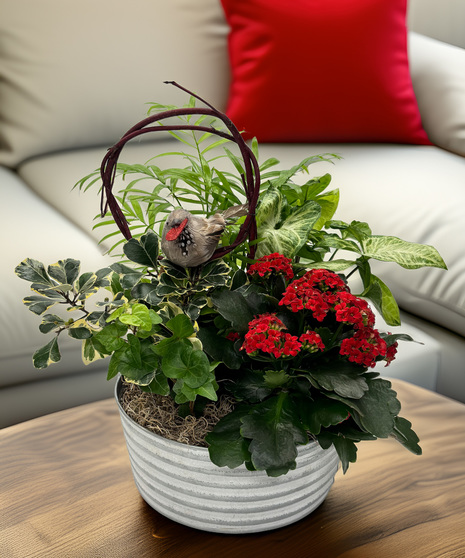 Love Garden - a charming garden for your Valentine