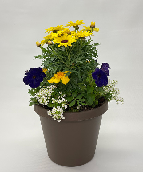Memorial Day Planter