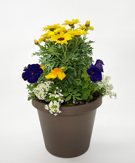 Memorial Day Planter