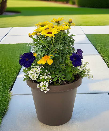 Memorial Day Planter