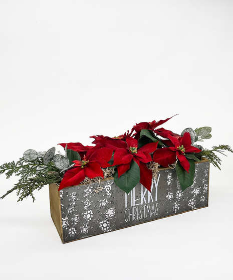 Three vibrant small poinsettias nestled in a rustic wooden box saying 'Merry Christmas' and accents of sprays of frosted eucalyptus and evergreens.
