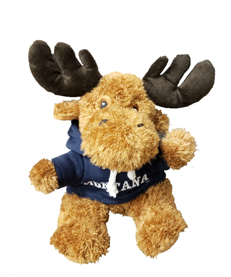 Moose with Montana Hoodie