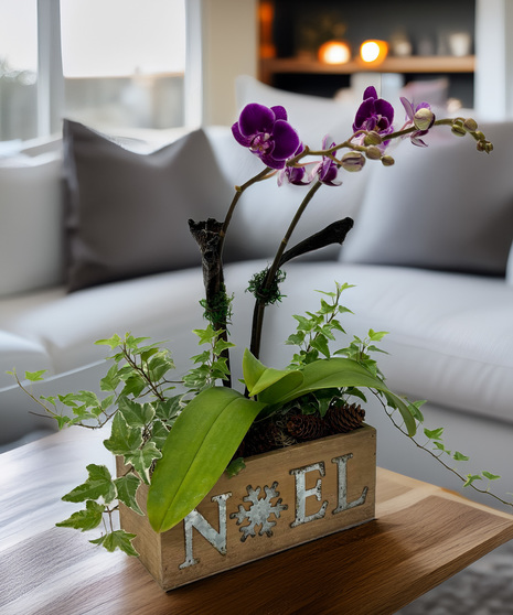 Christmas Orchid Garden - elegant simplicity with a touch of holiday cheer