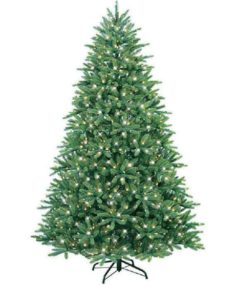 9ft Rocky Mountain Pine Blue