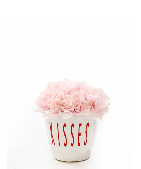 Silk carnations in a white ceramic pot with Kisses in red letters.