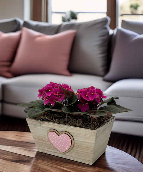 Thinking of You Pink Double Violet - sweet blooms to celebrate the day