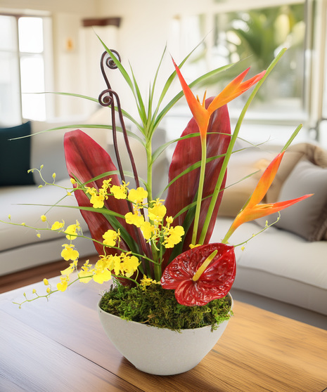 Tropical Dream - gift an exotic escape with every bloom