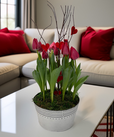 Tulip Garden - bright blooms for someone special