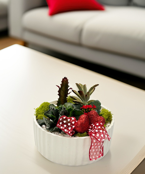 Charming Succulent Garden - a unique Valentine's gift