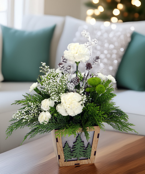 Winter Joy - simple, natural beauty for the season