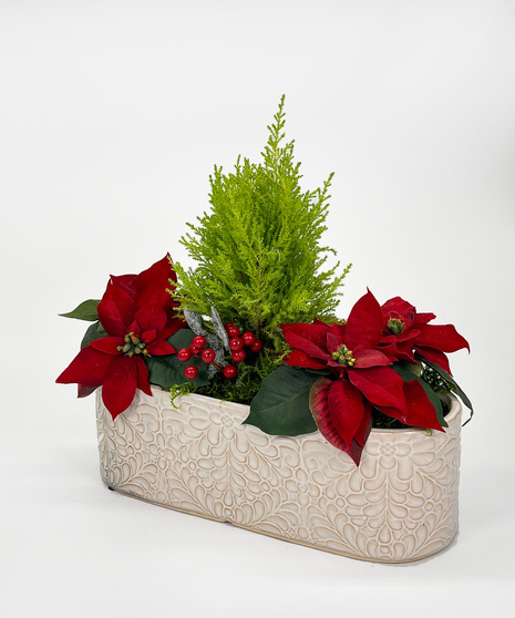 Winter Wonderland Trio Garden