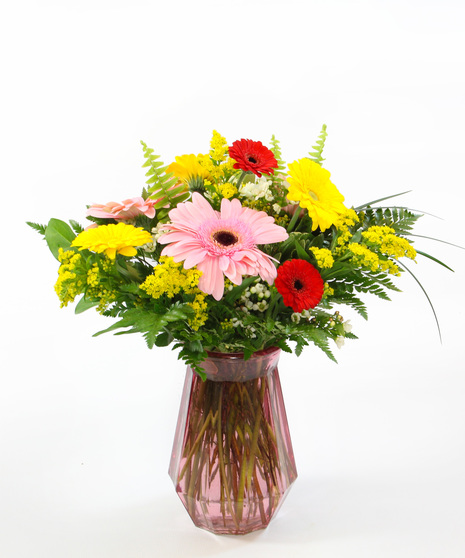 Daisy Fun - send a cheerful burst of blooms