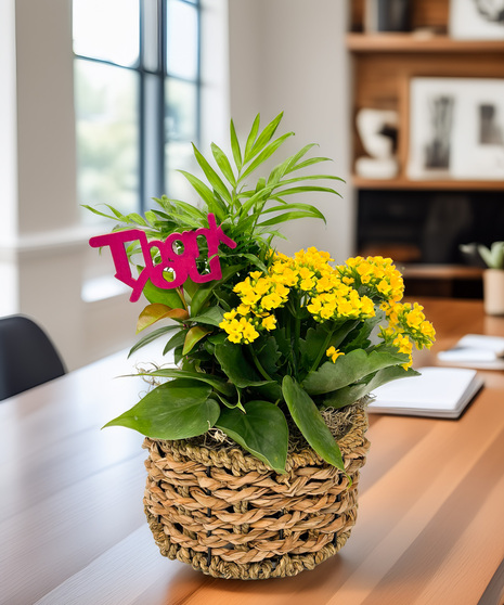 Dish garden with foliage plants and blooming kalanchoe in raffia basket with ‘Thank You’ pick. A lasting appreciation gift