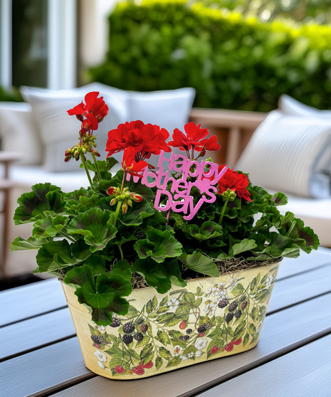 Double Geranium Planter - twice the love