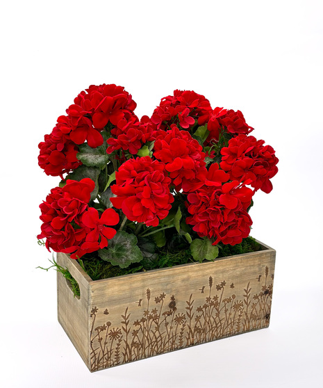 Double Geranium Planter