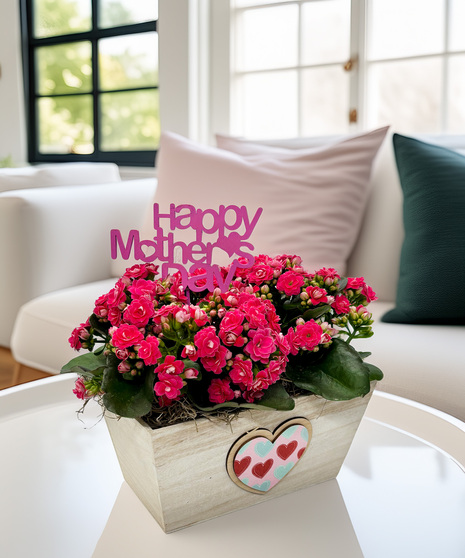 Double Kalanchoe Planter - long-lasting love