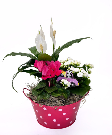 Easter Blooming Garden