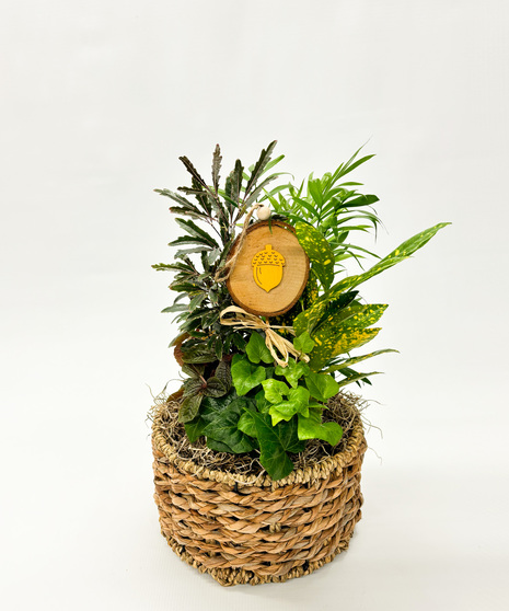 Fall Dish Garden - a lasting touch of autumn beauty