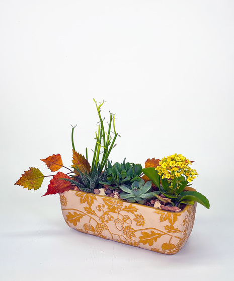 Fall Succulent Garden