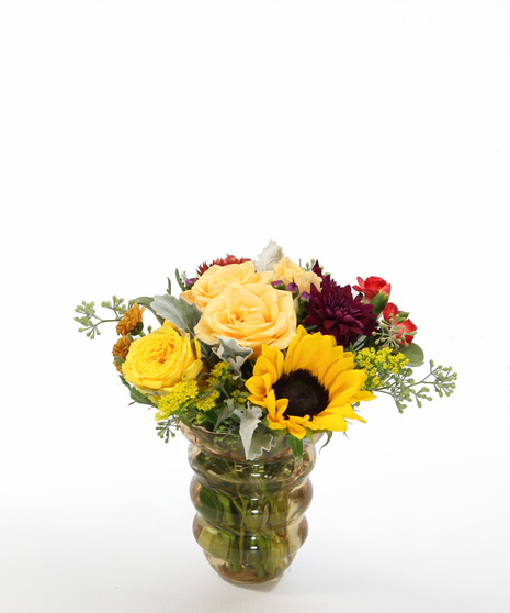 Flower Power - Send a joyful pop of color in every bloom