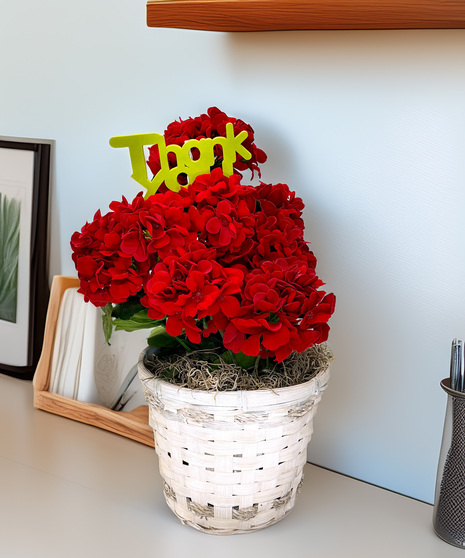 Thank You Geranium - bright appreciation